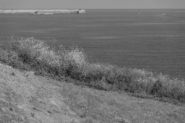 İspanya kıyısındaki Gijon şehri