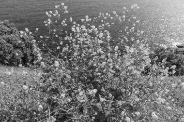 İspanya kıyısındaki Gijon şehri