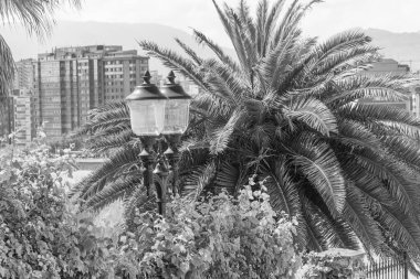 İspanya kıyısındaki Gijon şehri