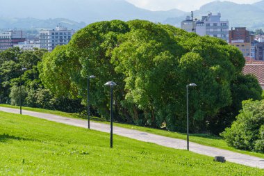 İspanya kıyısındaki Gijon şehri