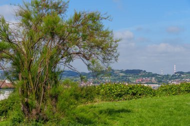 İspanya kıyısındaki Gijon şehri