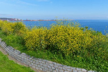 İspanya kıyısındaki Gijon şehri