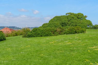 İspanya kıyısındaki Gijon şehri