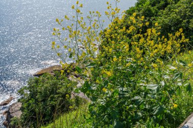 İspanya 'daki Gijon şehri.