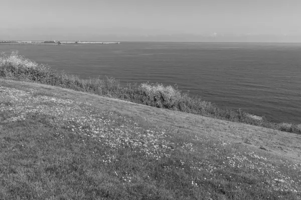 İspanya 'daki Gijon şehri