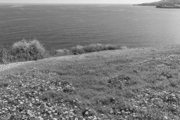 İspanya 'daki Gijon şehri