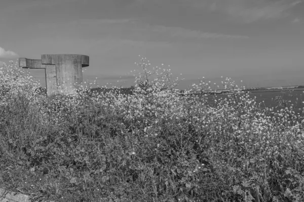 İspanya 'daki Gijon şehri
