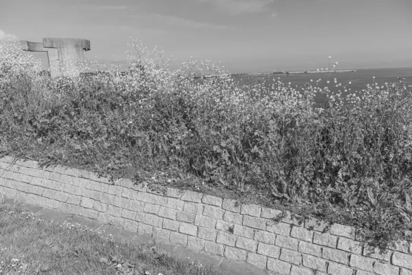 İspanya 'daki Gijon şehri