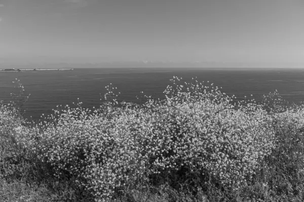 İspanya kıyısındaki Gijon şehri