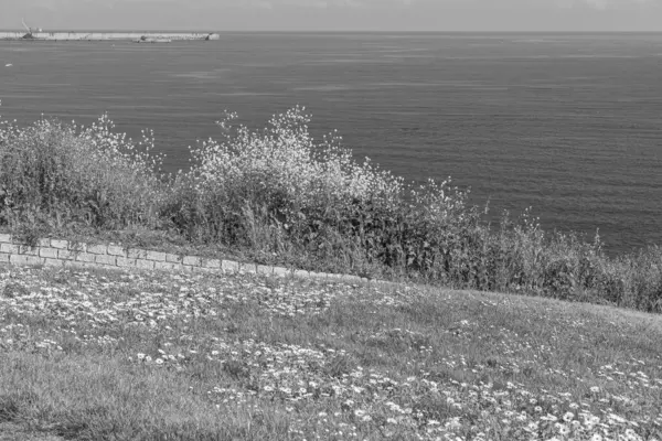 İspanya kıyısındaki Gijon şehri