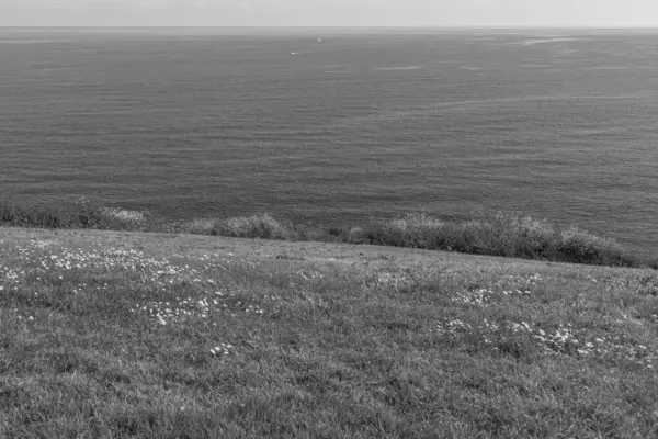 İspanya kıyısındaki Gijon şehri