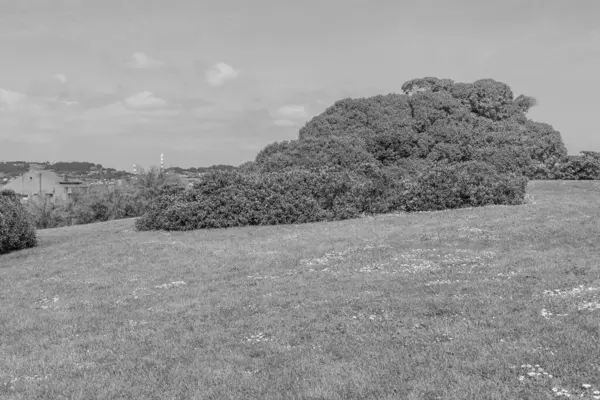 İspanya kıyısındaki Gijon şehri