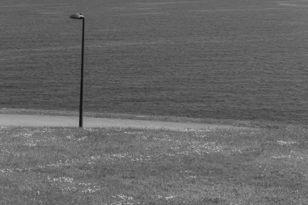 İspanya kıyısındaki Gijon şehri