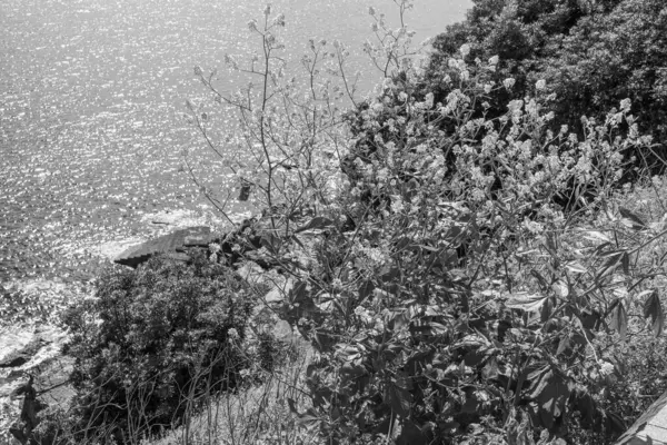 İspanya kıyısındaki Gijon şehri