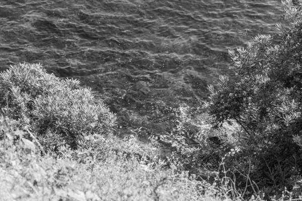 İspanya kıyısındaki Gijon şehri