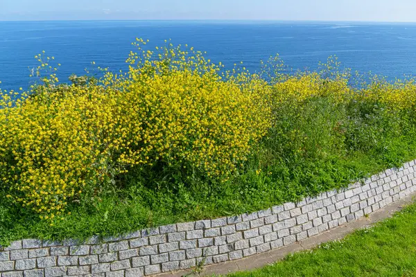 İspanya kıyısındaki Gijon şehri