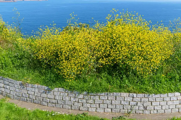 İspanya kıyısındaki Gijon şehri