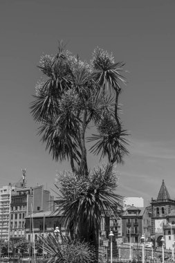 İspanya şehri Gijon denizde.
