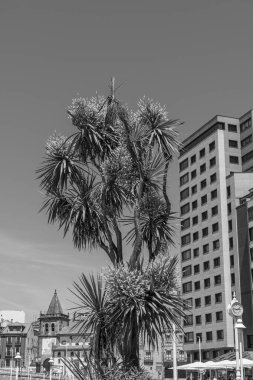 İspanya şehri Gijon denizde.