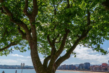 İspanya şehri Gijon denizde.