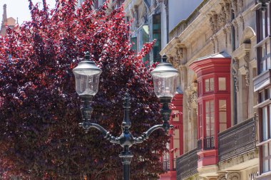 İspanya 'daki Gijon şehri