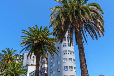 İspanya 'daki Gijon şehri