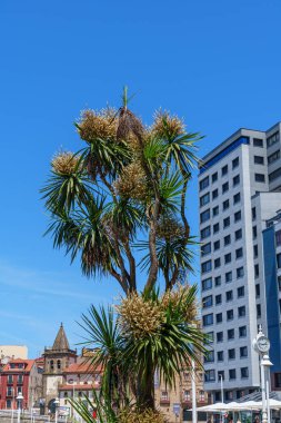 İspanya 'daki Gijon şehri