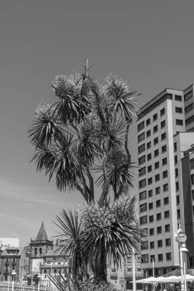 İspanya şehri Gijon denizde.