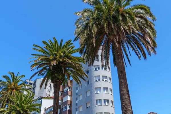 İspanya 'daki Gijon şehri