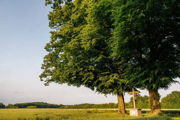 Westphalia 'da yaz zamanı