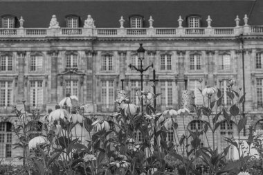 Fransız şehri Bordeaux.