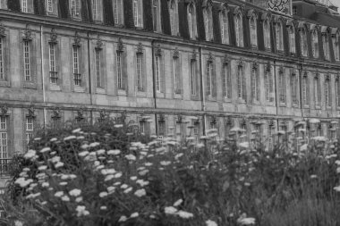 Fransız şehri Bordeaux.