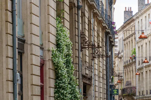 Garonne nehrindeki Bordeaux şehrinde.