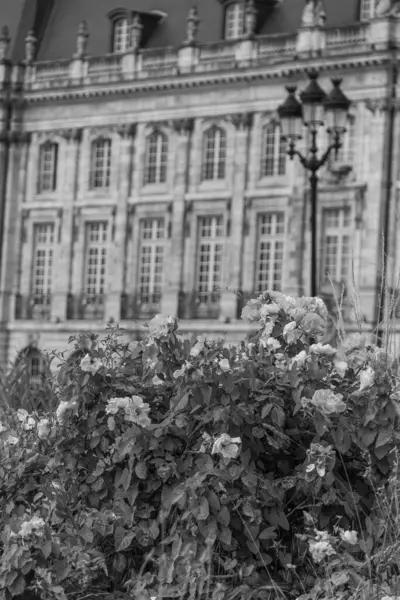 Fransız şehri Bordeaux.