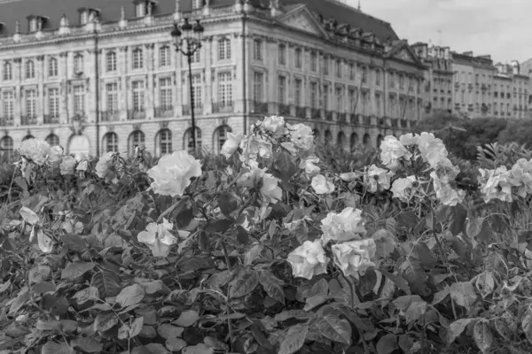 Fransız şehri Bordeaux.