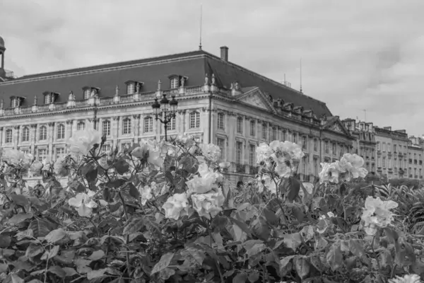 Fransız şehri Bordeaux.