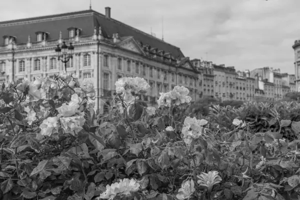 Fransız şehri Bordeaux.