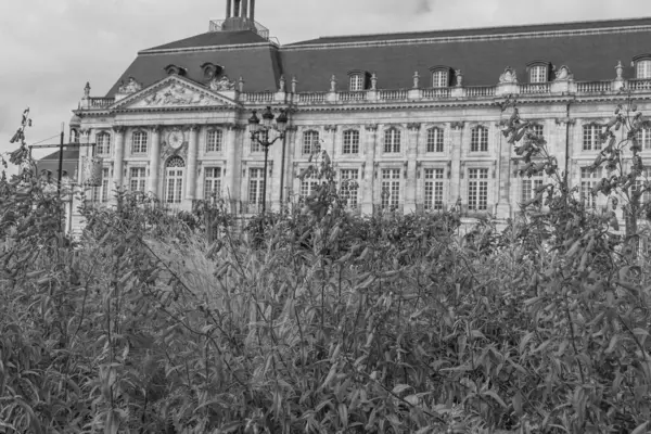 Fransız şehri Bordeaux.