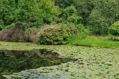 Almanya 'da Coesfeld yakınlarındaki Alman Baumberge.