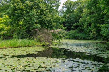Almanya 'da Coesfeld yakınlarındaki Alman Baumberge.