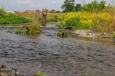 Coesfeld yakınlarındaki Alman Baumberge 'inde yürüyüş.