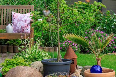 Coesfeld yakınlarındaki Alman Baumberge 'inde yürüyüş.