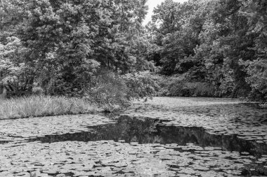 Coesfeld yakınlarındaki Alman Baumberge 'inde yürüyüş.