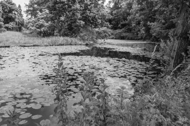 Coesfeld yakınlarındaki Alman Baumberge 'inde yürüyüş.