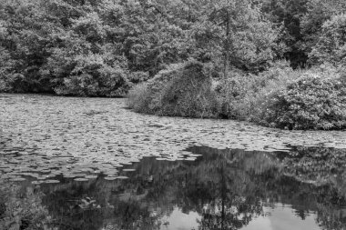 Coesfeld yakınlarındaki Alman Baumberge 'inde yürüyüş.