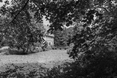 Coesfeld yakınlarındaki Alman Baumberge 'inde yürüyüş.