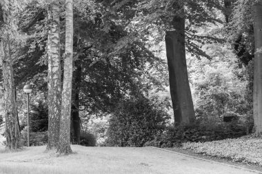 Coesfeld yakınlarındaki Alman Baumberge 'inde yürüyüş.