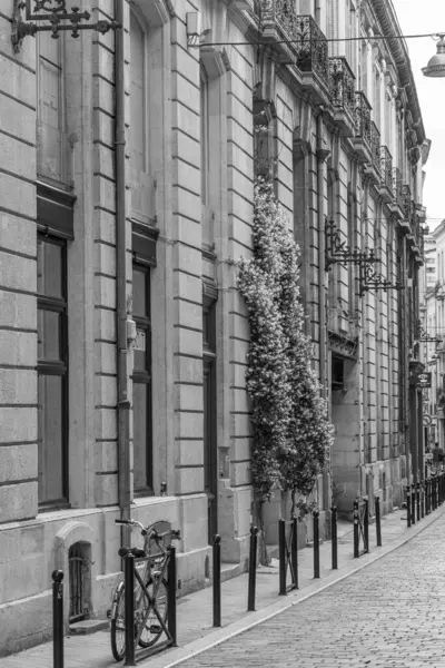 Fransız şehri Bordeaux.