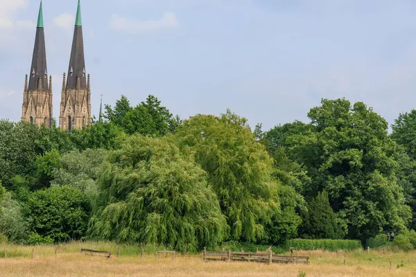 Coesfeld yakınlarındaki Alman Baumberge 'inde yürüyüş.