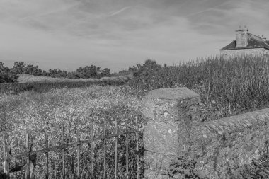 Fransız Normandiya ceketinde.